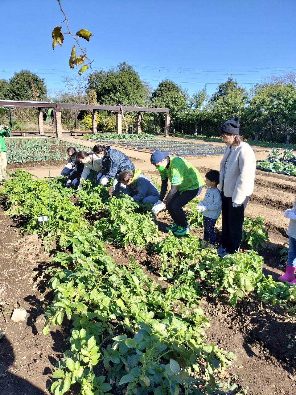 566314775_24904537105863257_9183375727194791138_n